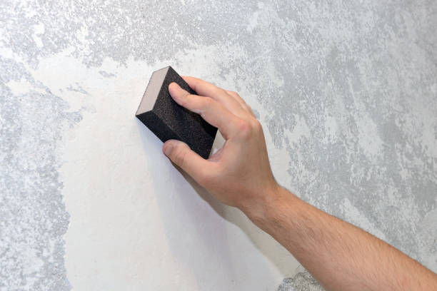 Best Industrial Mold Remediation  in Rector, AR