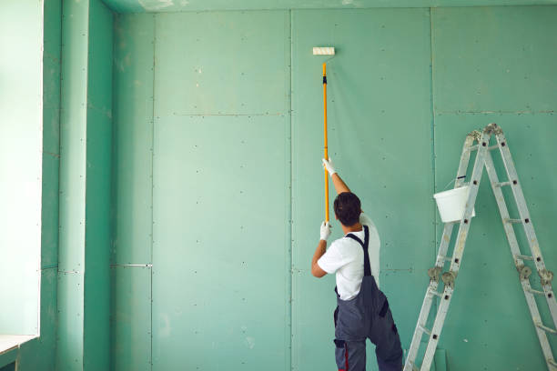 Best Post-Construction Mold Inspection  in Rector, AR
