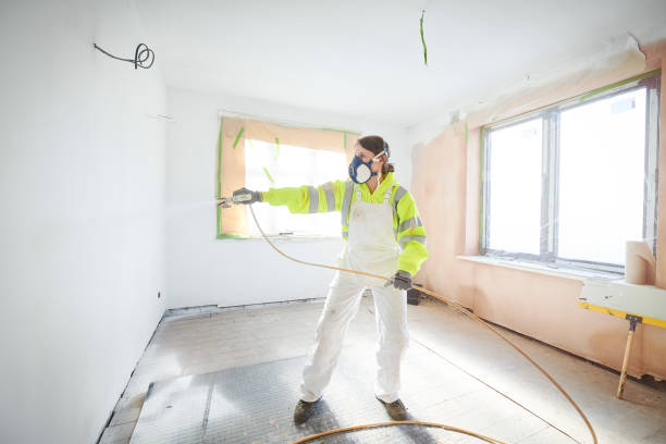 Best Mold Odor Removal Services  in Rector, AR