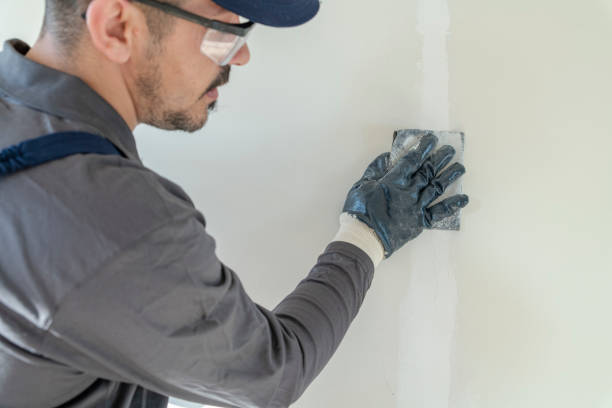 Best Mold Odor Removal Services  in Rector, AR