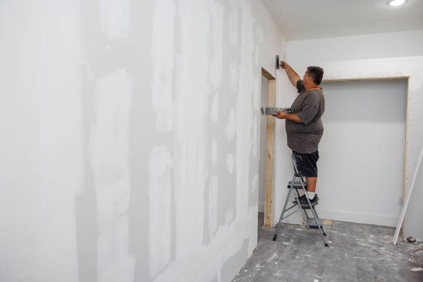 Professional Mold Removal in Rector, AR