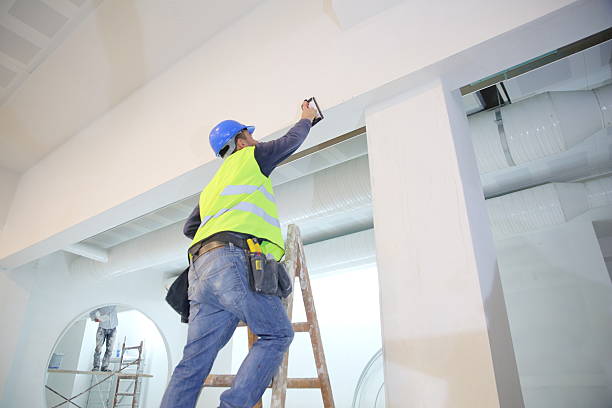 Best Mold Odor Removal Services  in Rector, AR