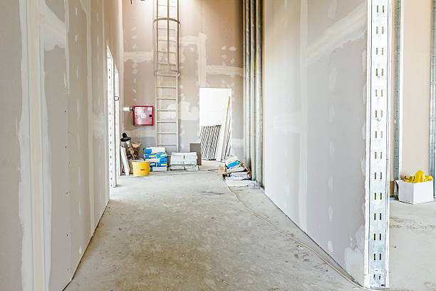 Best Mold Remediation for Healthcare Facilities  in Rector, AR