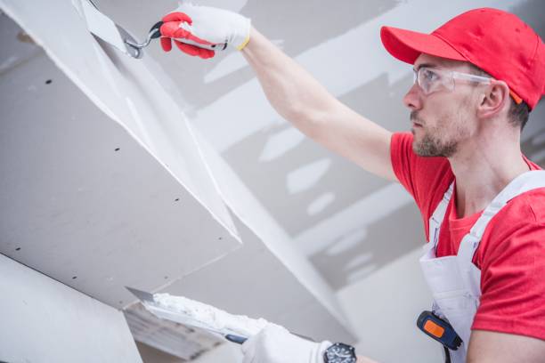 Best Mold Removal for HVAC Installations  in Rector, AR