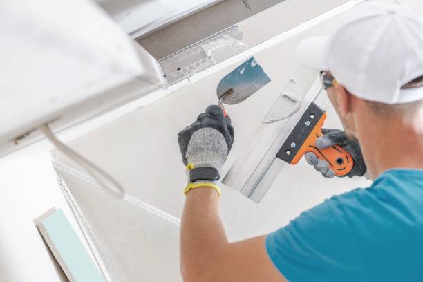 Best Black Mold Removal  in Rector, AR